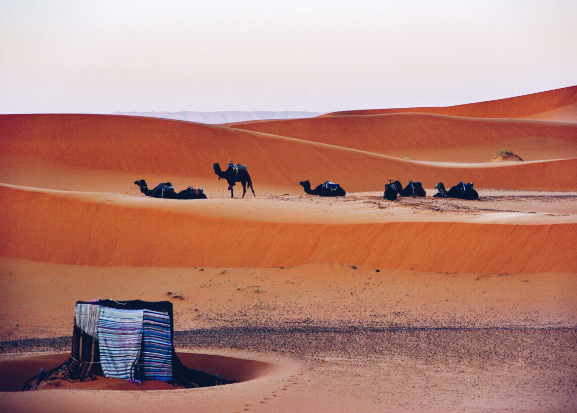 Sahara kõrb, Maroko. Pilt: Envato