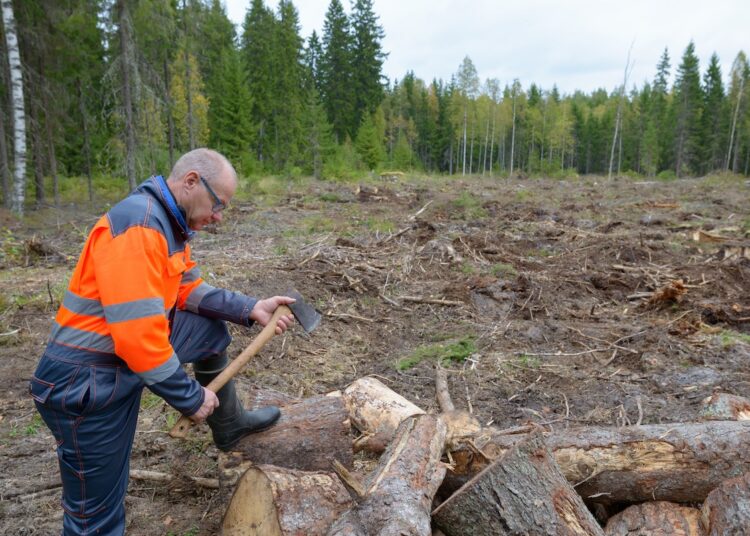 väikemetsnik toetus