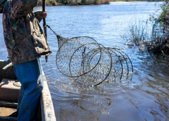 kalastus avameremõrd püük