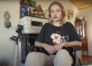 dubai ukraina modell