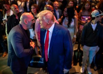 trump ufc usa dana white