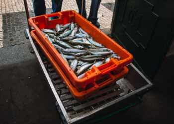 kalur eelnõu vähem kala eraisik müük