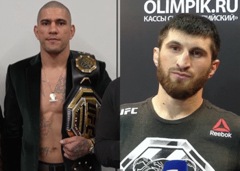 pereira ankalaev las vegas ufc