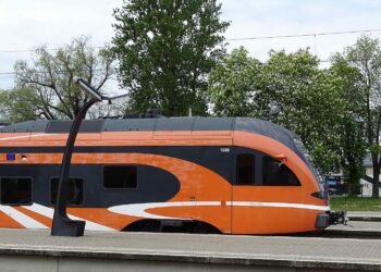 Elroni rong. Foto: Wikimedia / Ad Meskens