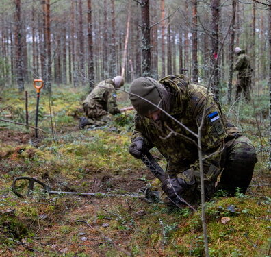 Foto: Kaitsevägi, mil.ee