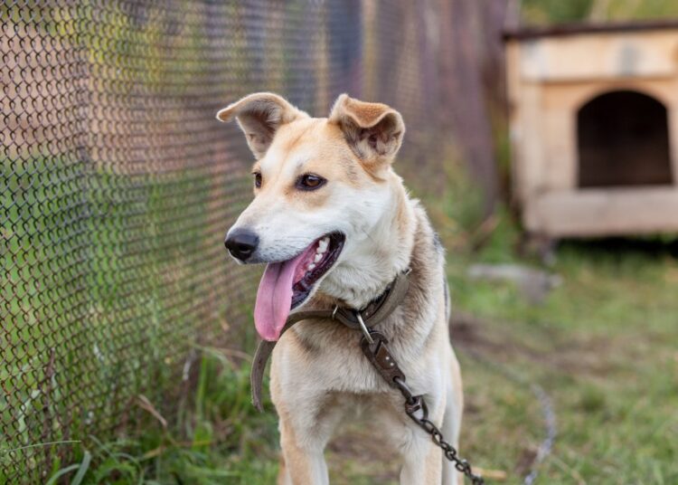 Foto on illustratiivne. Pilt: Envato