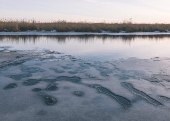 Foto on illustratiivne. Pilt: Envato