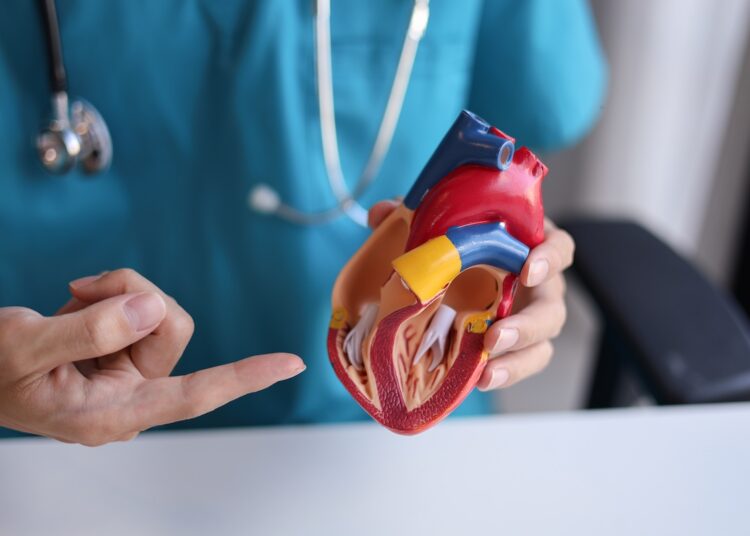 Teadustöö muudab täielikult senist arusaama ateroskleroosi ravist. Foto: Envato