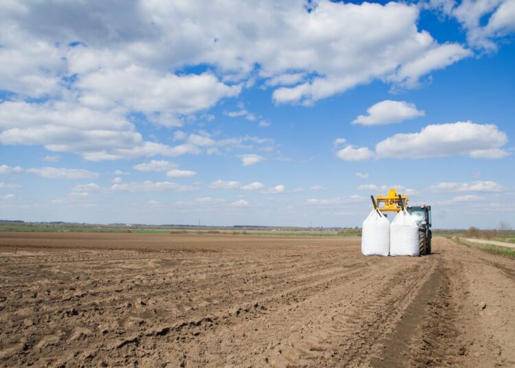 Kartulite mahapanek. Foto on illustratiivne. Pilt: Envato