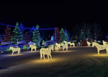 Foto: Adamlights sotsiaalmeedia