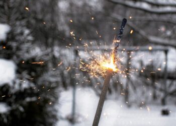 Aastavahetus möödus politseile töiselt: üle 500 väljakutse ja tapmine. Foto: Envato