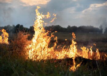 Foto on illustratiivne. Pilt: Envato