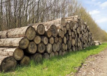 Foto on illustratiivne. Pilt: Envato