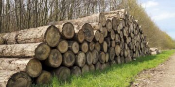 Foto on illustratiivne. Pilt: Envato