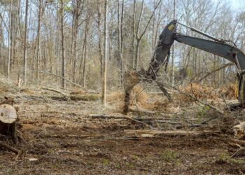 Foto on illustratiivne. Pilt: Envato