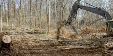 Foto on illustratiivne. Pilt: Envato