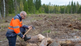 väikemetsnik toetus