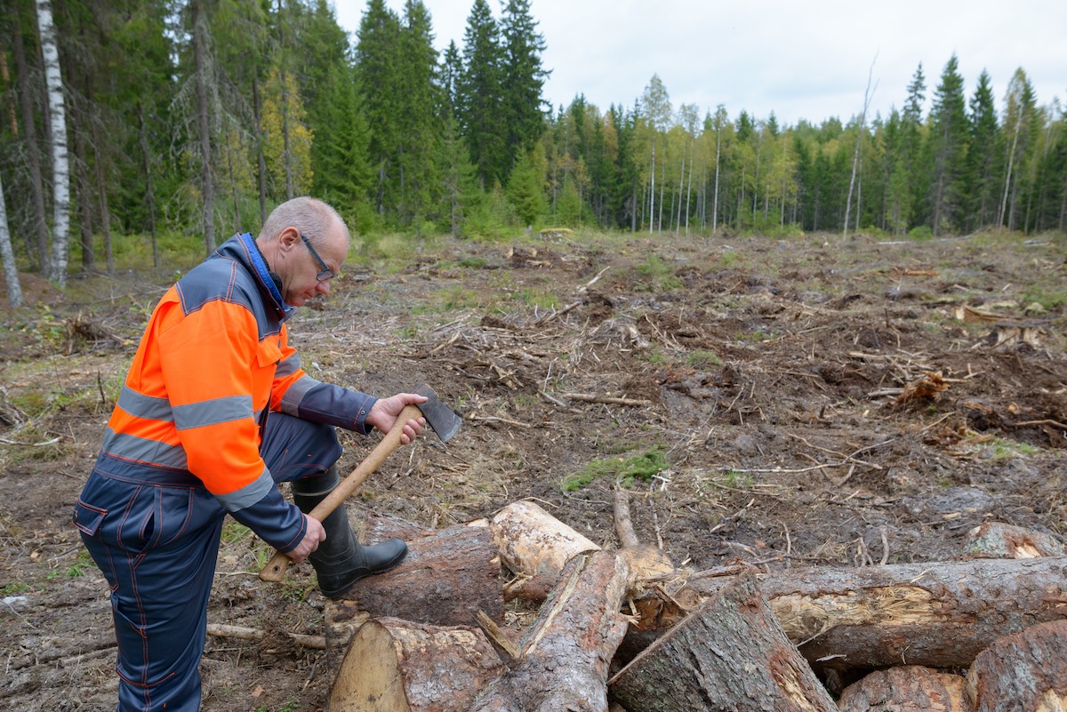väikemetsnik toetus