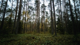 looduskaitse piirangud toetus eramets