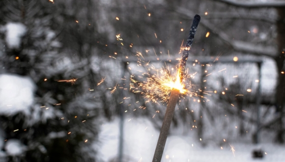 Aastavahetus möödus politseile töiselt: üle 500 väljakutse ja tapmine. Foto: Envato