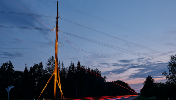 Elektrimast Sookurg Tallinna-Tartu maantee ääres. Foto: Elering