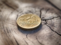 Metsandusfirmal lasub maksupettuse kahtlus. Foto: Envato