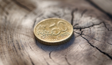 Metsandusfirmal lasub maksupettuse kahtlus. Foto: Envato