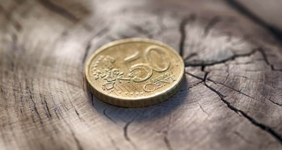 Metsandusfirmal lasub maksupettuse kahtlus. Foto: Envato