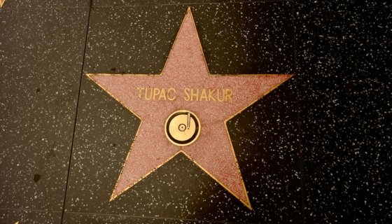Foto: Shutterstock