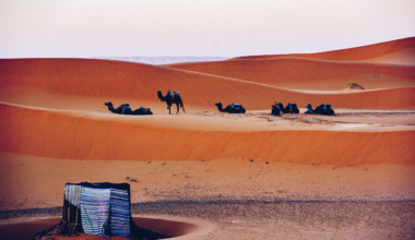 Sahara kõrb, Maroko. Pilt: Envato