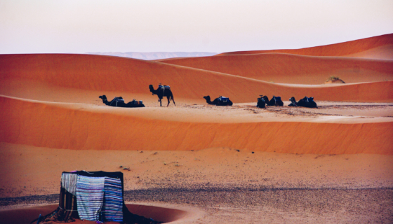 Sahara kõrb, Maroko. Pilt: Envato