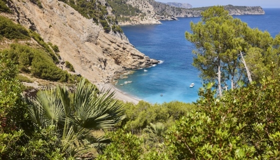 reisileid hispaania