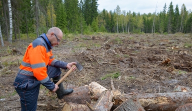 väikemetsnik toetus