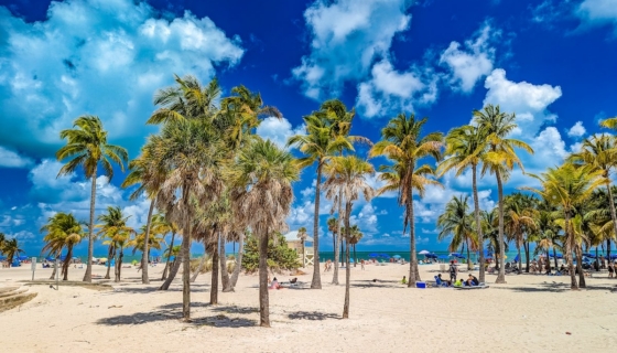 Miami rand. Pilt: Envato