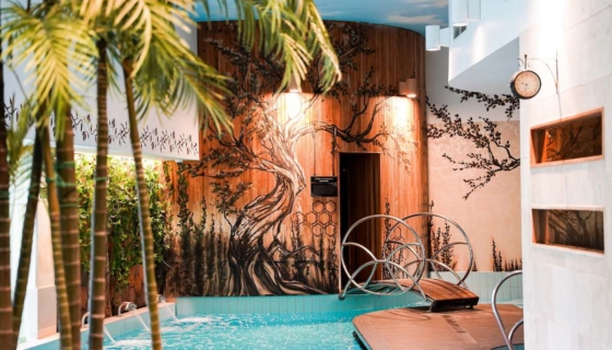 Elamus Spa soodus meesteleht