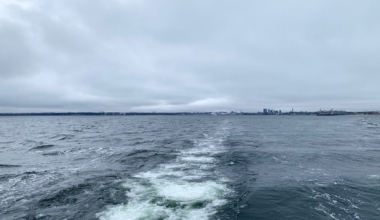 torpeedo saaremaa transpordiamet