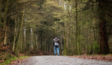 mets eksinud seeneline politsei