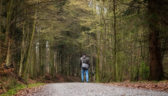 mets eksinud seeneline politsei