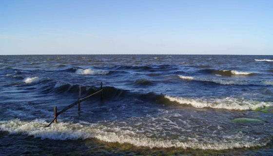 Peipsi järv. Foto: Wikimedia.