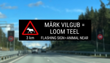 metsloom teel liiklus kiirus transpordiamet
